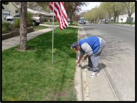 photo of American flags on an avenue